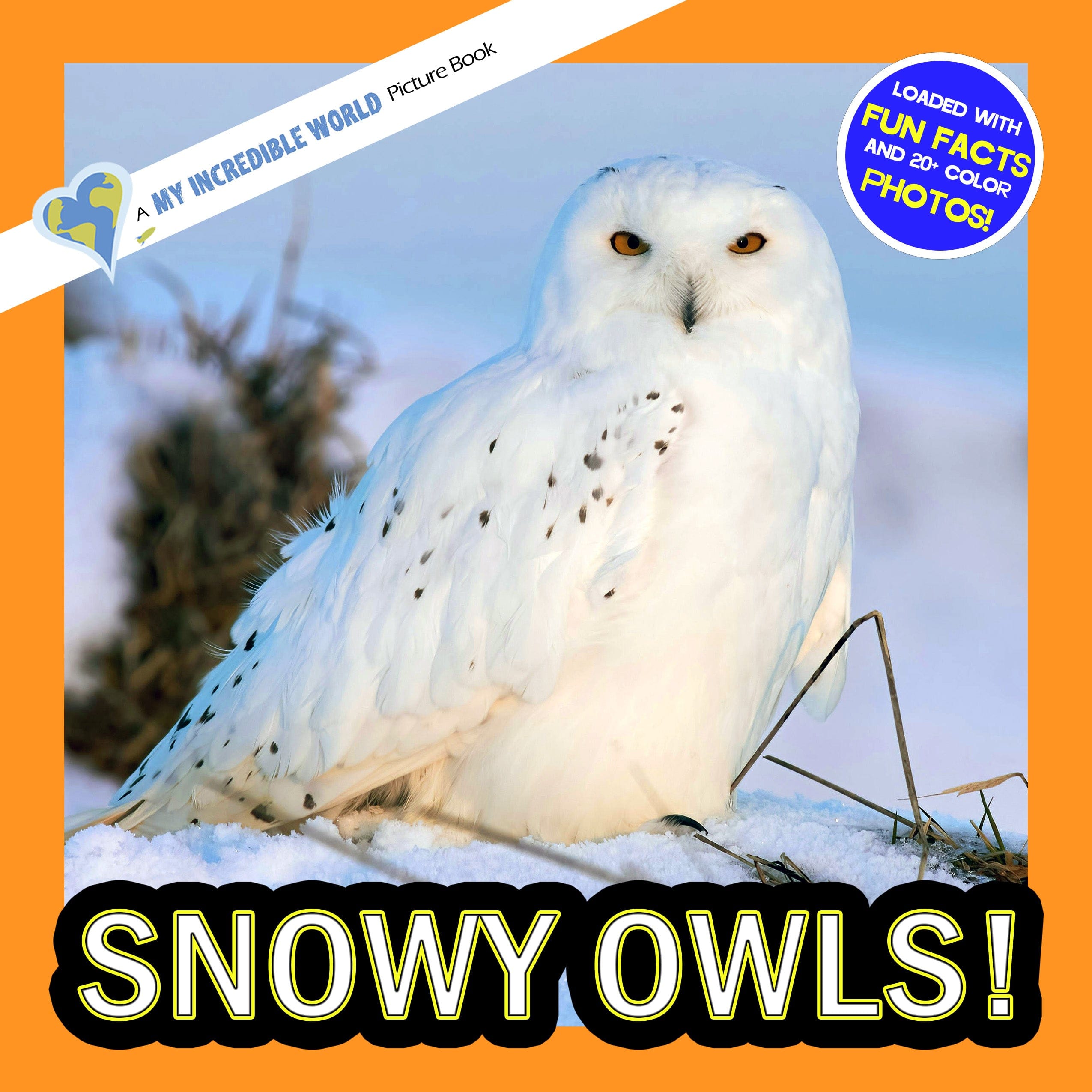 Snowy Owls! A My Incredible World Picture Book for Children